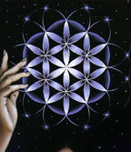 Syzygy