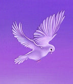 Grace