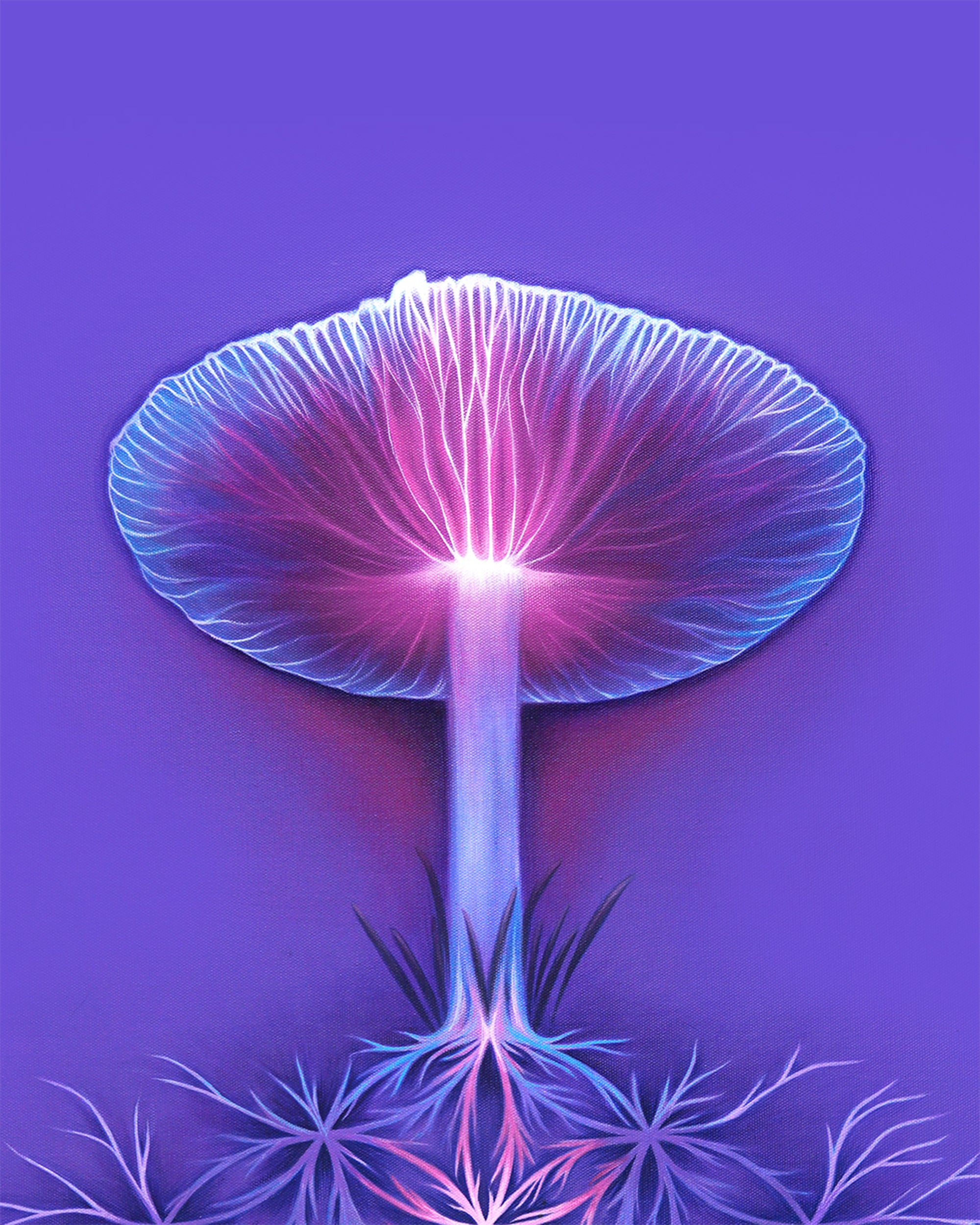 Mycelium