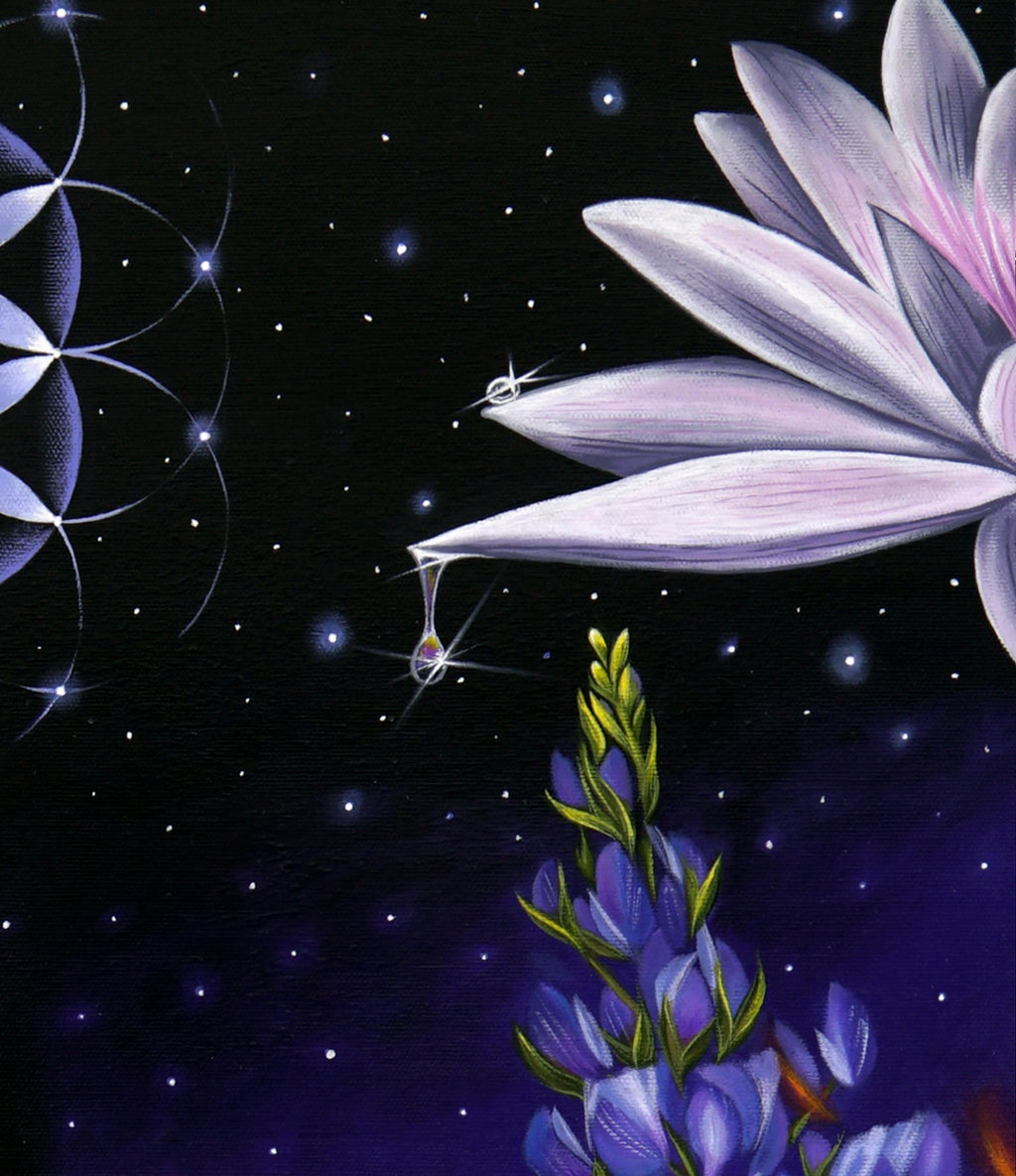Syzygy