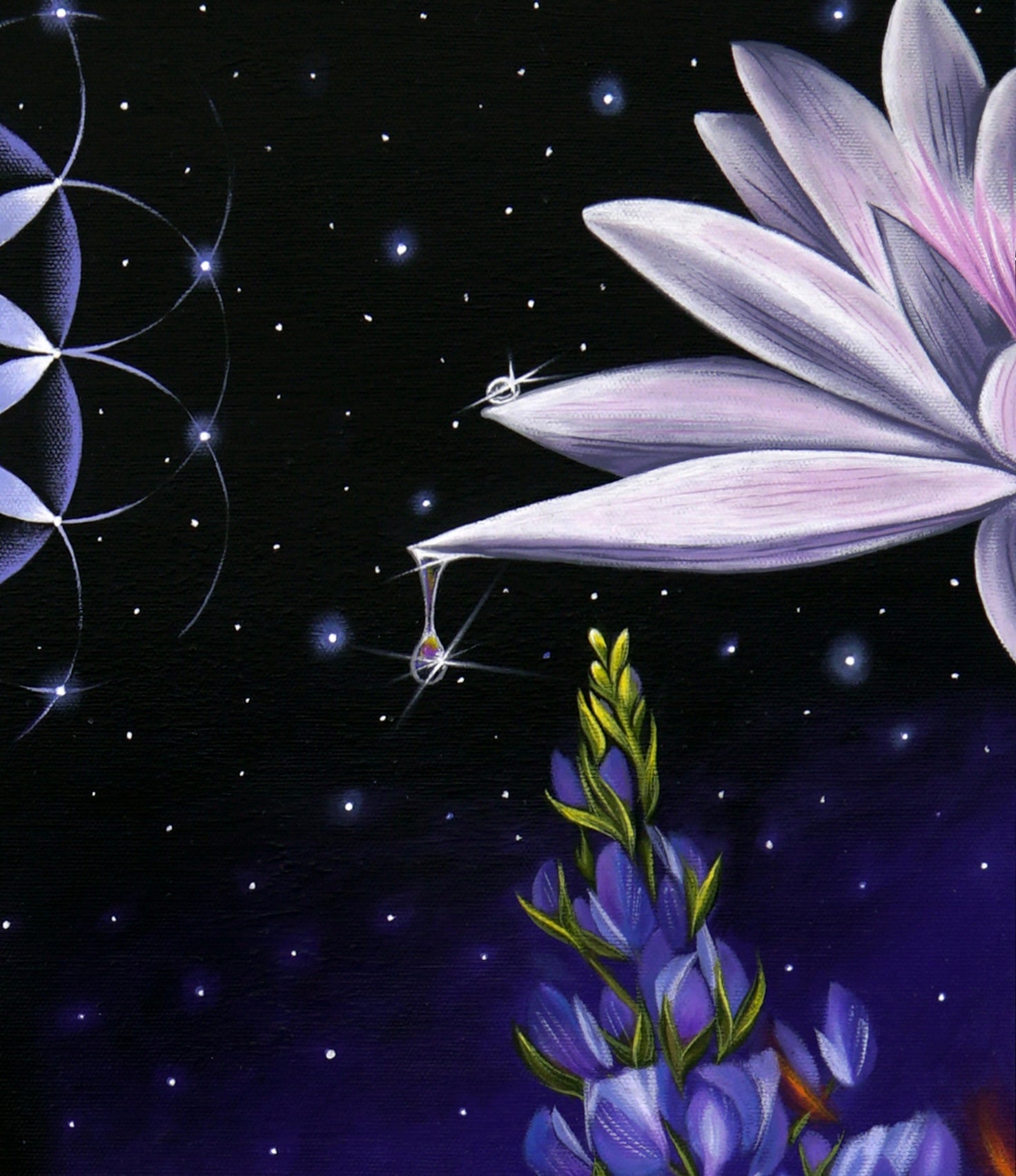 Syzygy
